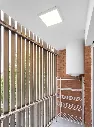 tendedero.webp